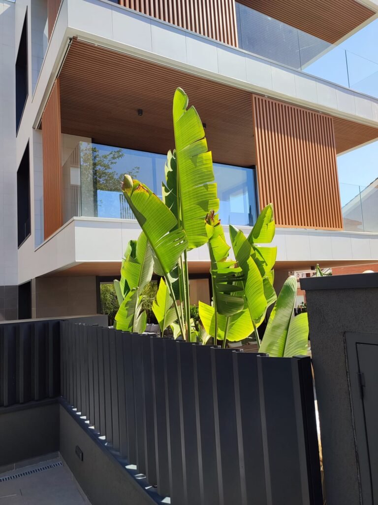 WhatsApp Image 2026-03-05 at 18.22.02